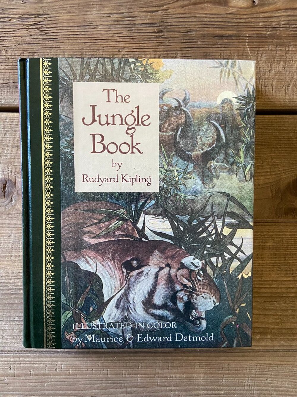 The Jungle Book hardcover book, Rudyard Kipling illustrated classic